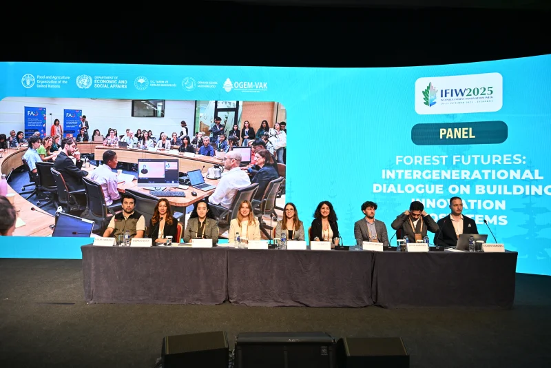Conference organisation in Türkiye
