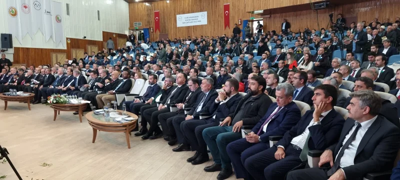 Meeting Organization
