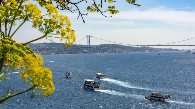 Bosphorus Cruise and Spice Bazaar Half Day Tour (Morning)