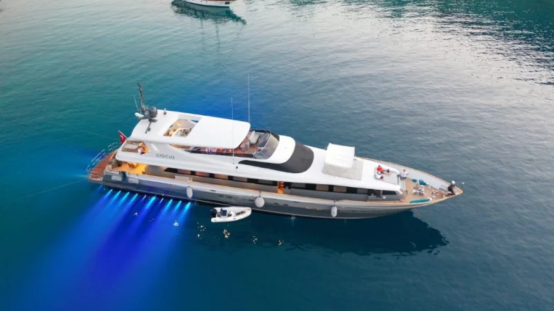 MOTORYACHT CROCUS