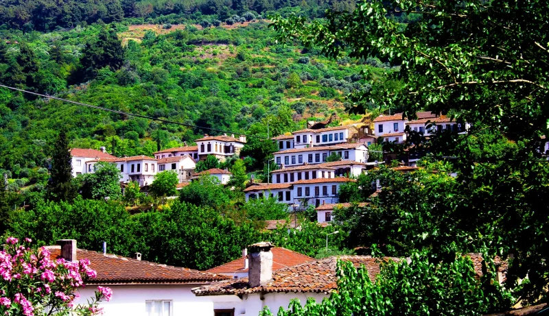 Private Ephesus and Sirince Village Tour - 1 Day   