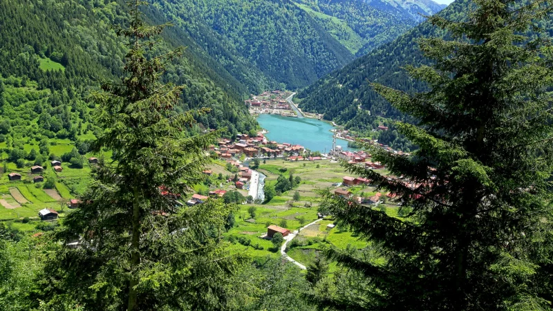Black Sea Grand Tour - 14 Days/13 Nights