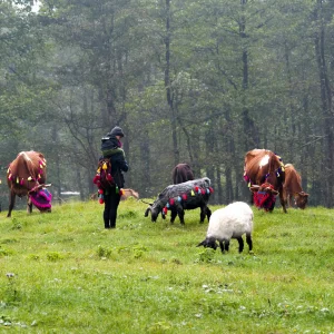 Black Sea Region Village Life