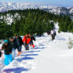 Rize Plateaus Winter Hiking