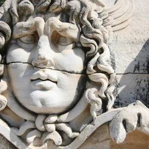 Medusa Head - Didyma