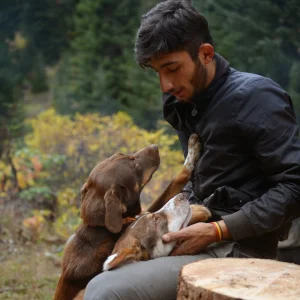 Young Man and Dogs