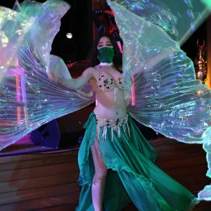 Belly Dancer Show