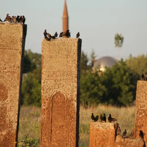 Ahlat Seljuk tombs