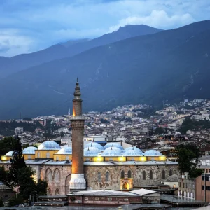 Bursa