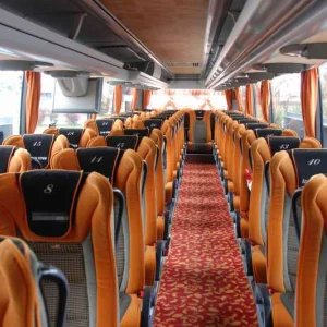 luxurt bus