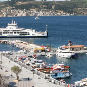 Canakkale Dardanella