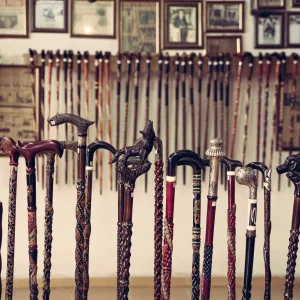Cane Workshop - Devrek