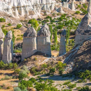 Gairy chimneys Cappadocia