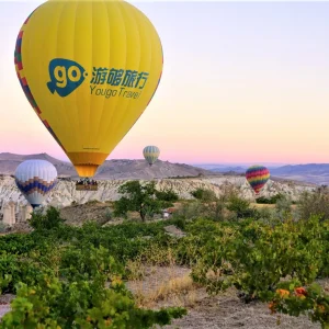 Cappadocia Grape Gardens from Balloon Baskets