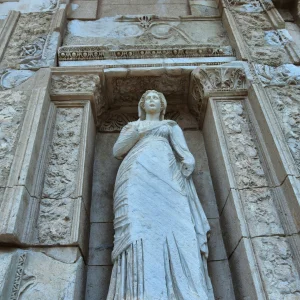 Celsus Library