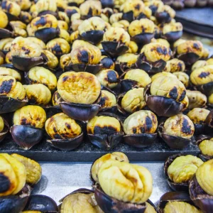Chestnut Kebab