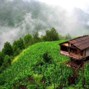 Wooden Granary - Black Sea