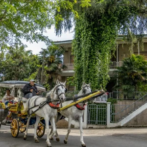 Prenses Adaları, Büyükada - İstanbul