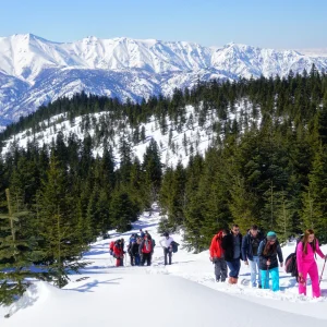 Rize  Çağrankaya Plateau winter hiking