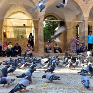 Halil-ül Rahman Mosque - Urfa