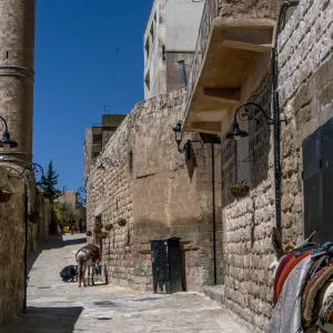 Mardin 
