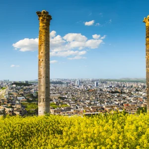 Urfa Castel
