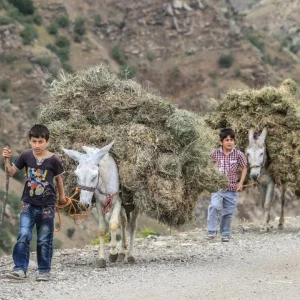 Uzuntaş Village - Hizan Bitlis