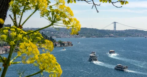 Bosphorus Cruise and Egypt Bazaar Half Day Tour (Afternoon)