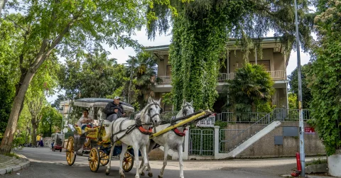 Princes Islands Tour Istanbul - 8 Hr