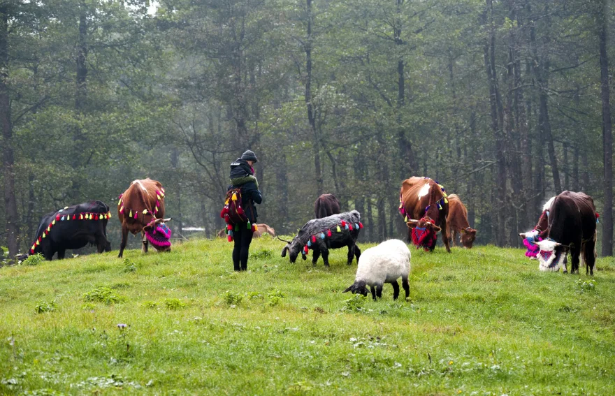 Black Sea Region Village Life