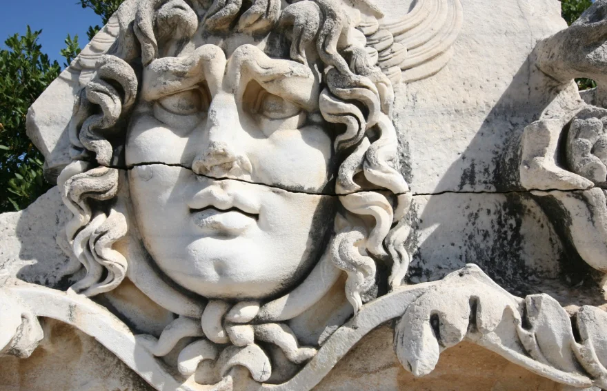 Medusa Head - Didyma