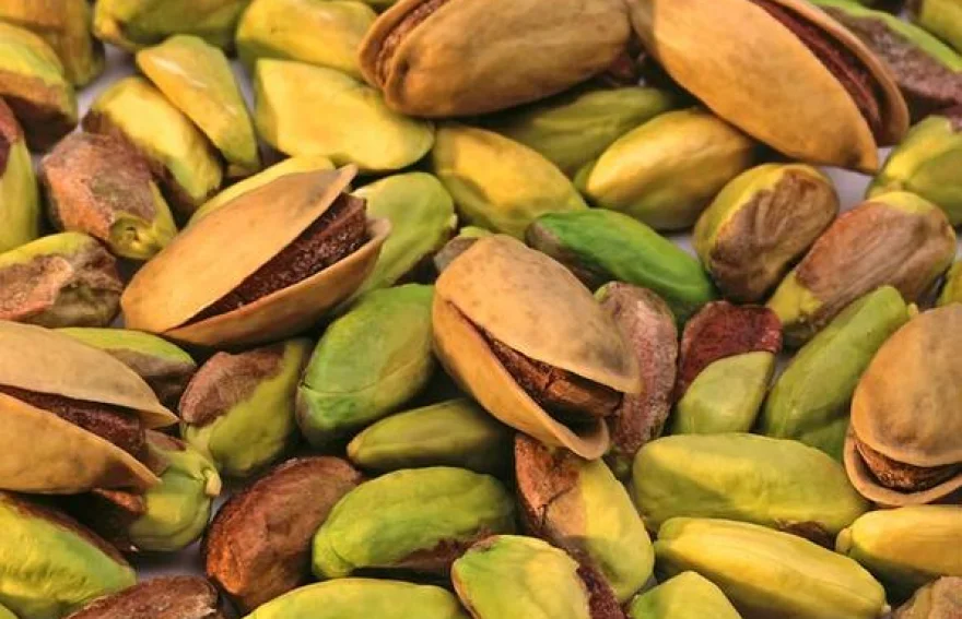 Pistachio - Gaziantep