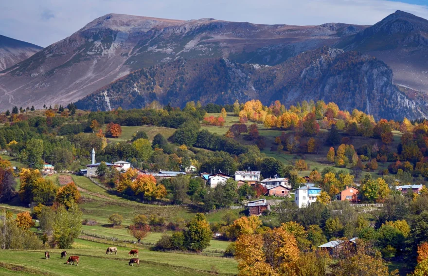 Artvin Villages