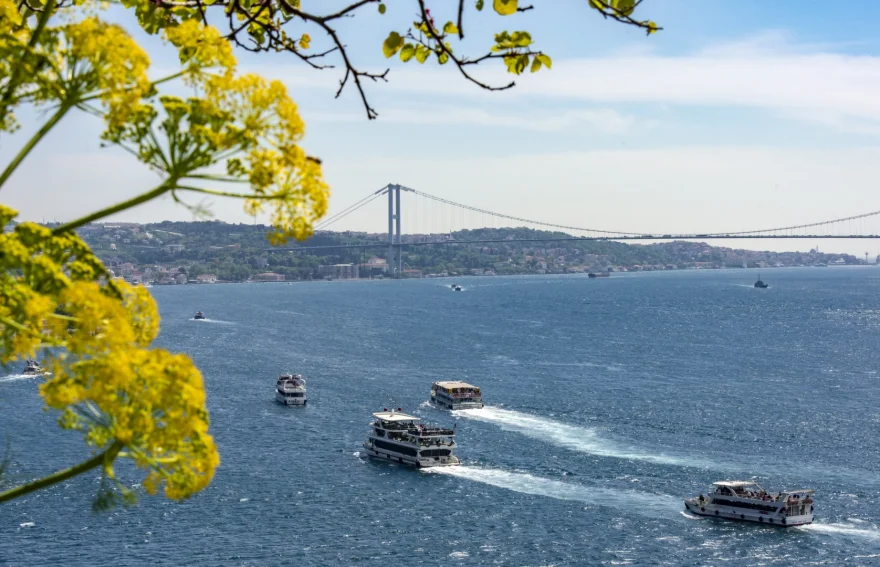 Istanbul Bosphorus Cruise