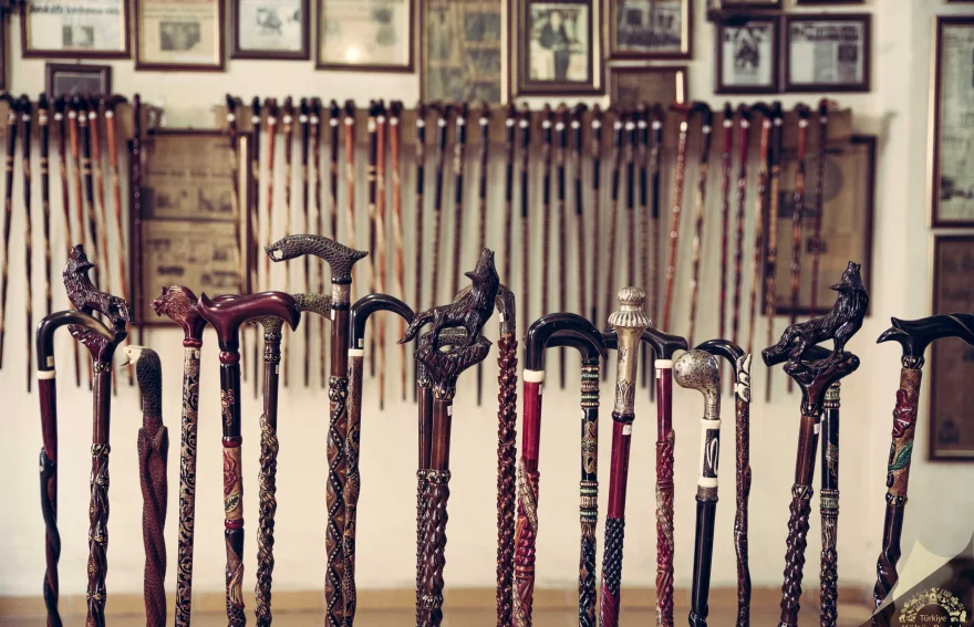 Cane Workshop - Devrek