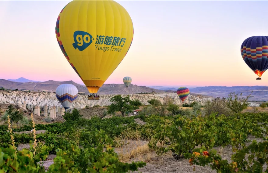 Cappadocia Grape Gardens from Balloon Baskets