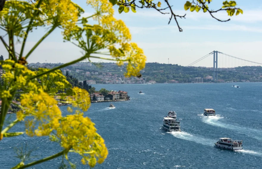 Crucero por el Bósforo - Estambul