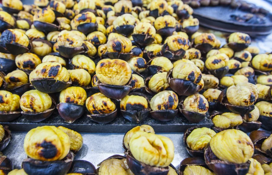 Chestnut Kebab