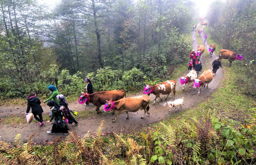 Giresun Villages Highland Migration