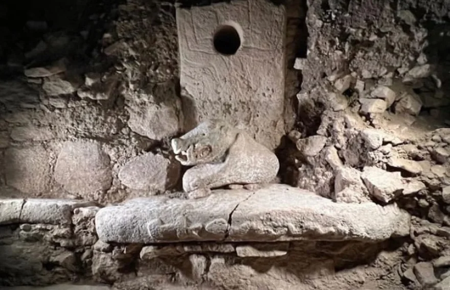 Göbeklitepe - Whild Pork Statue