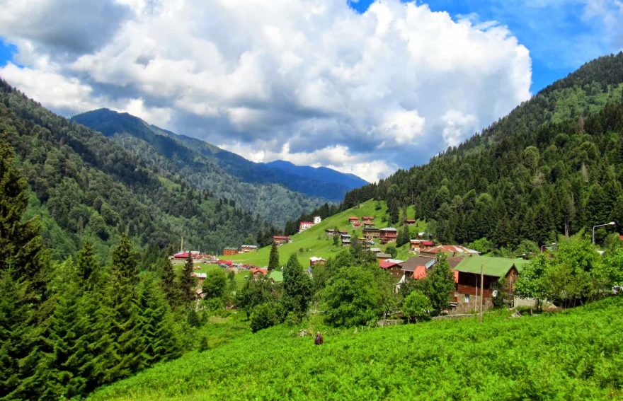 Ayder Plateau - Rize