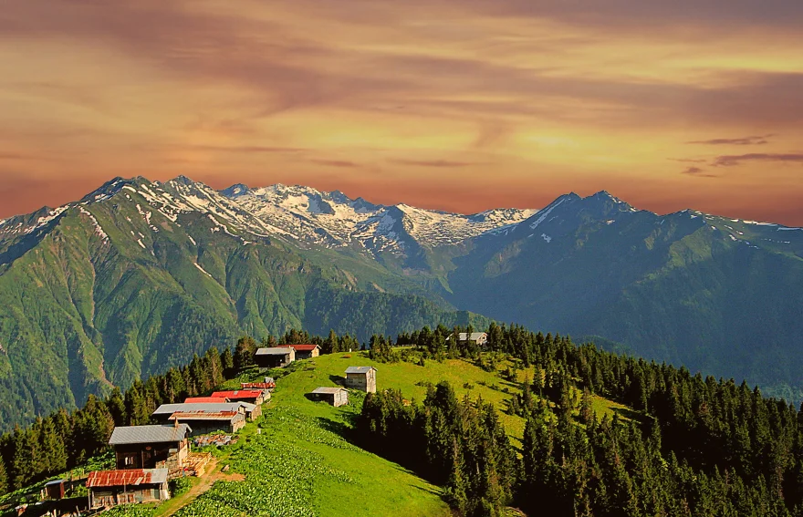 Pokut Plateau Black Sea