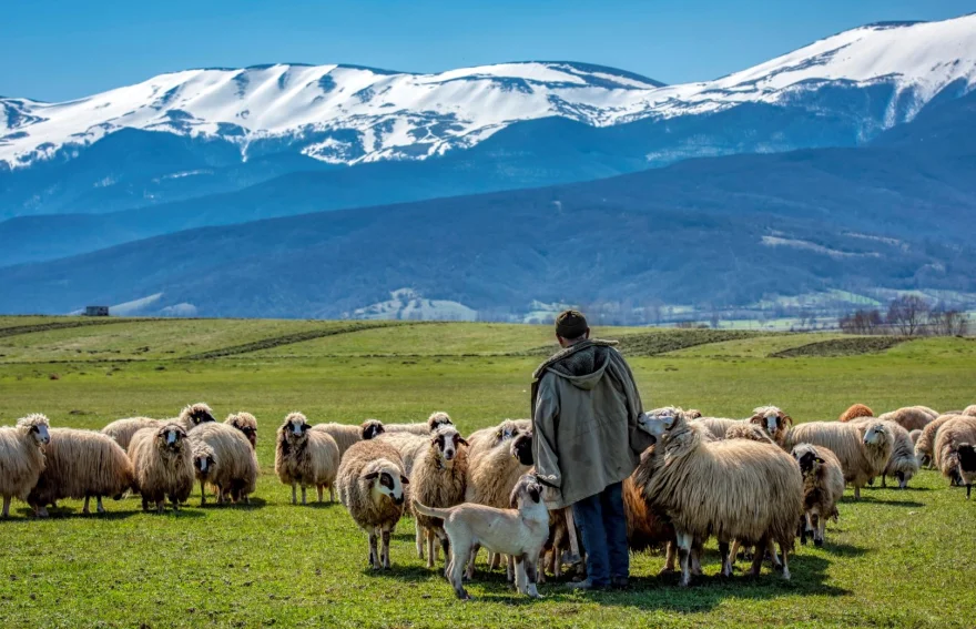 Black Sea Highlands