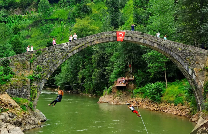Zipline Adventure