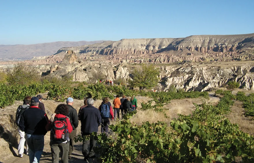 Gomeda Valley