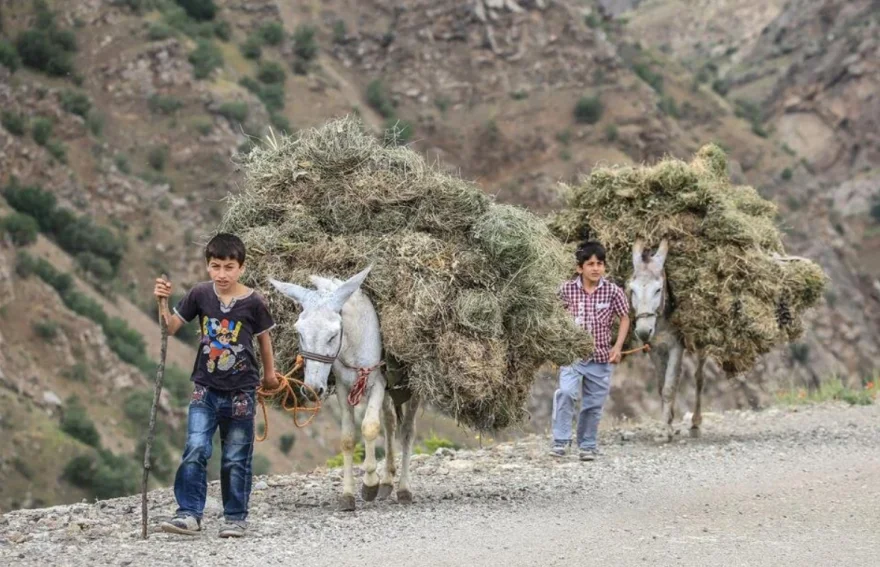 Uzuntaş Village - Hizan Bitlis